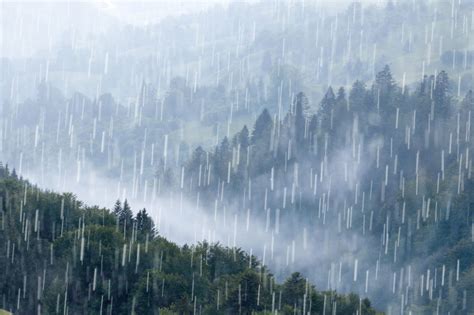 下雨照片|超过 20000 张关于“雨”和“自然”的免费图片